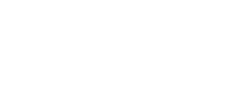 digital consultancy
